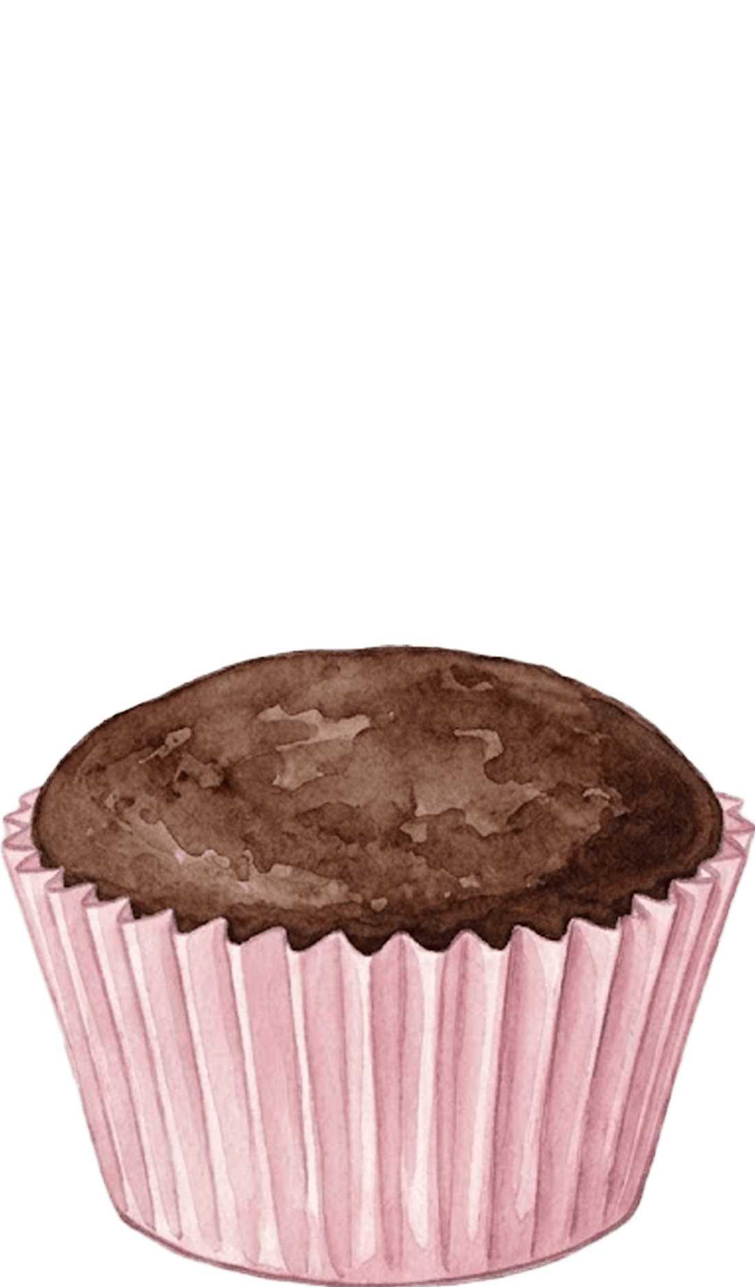 Chocolate cupcake base