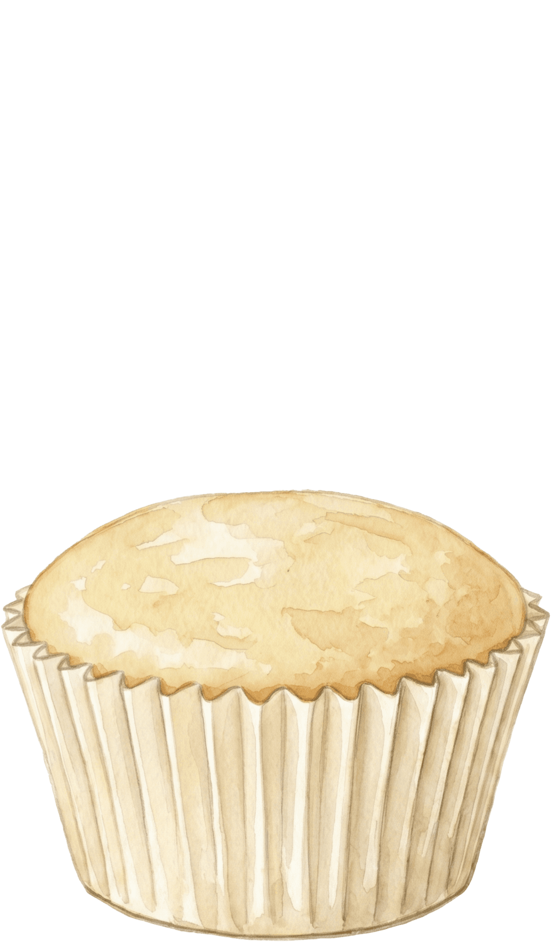Vanilla cupcake base
